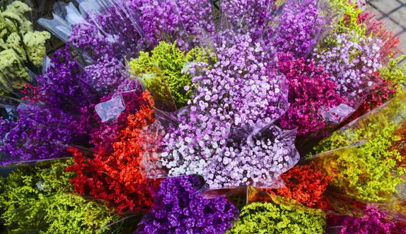 满天星是什么花做的 关于满天星花语和寓意