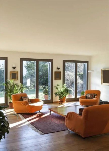 客厅里适合养什么花和植物 室内最旺宅的植物