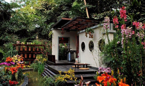 风水上为什么不能养藤蔓植物的原因 最旺宅的爬藤植物