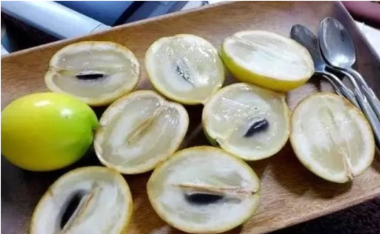 适合南方果树品种大全有哪些 南方最容易种活的果树